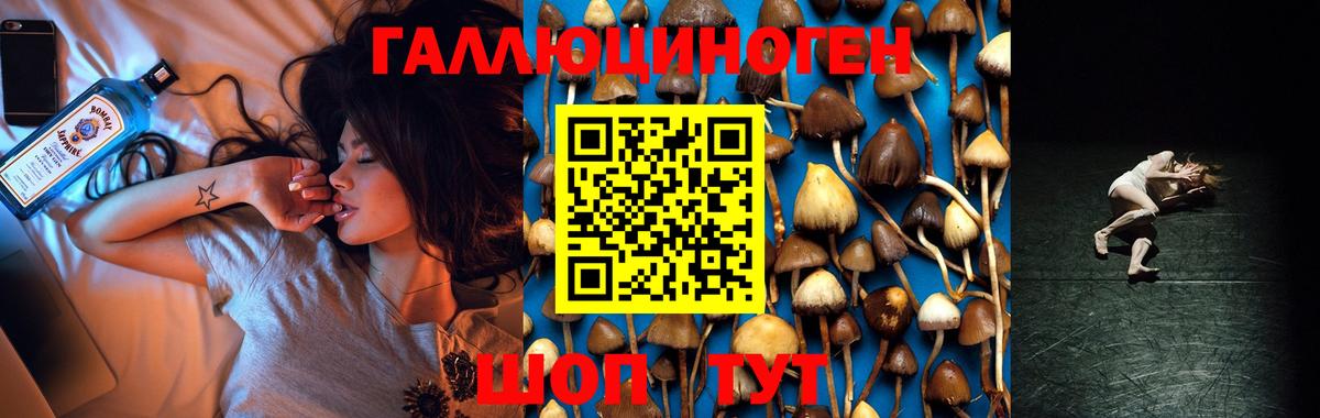 Псилоцибиновые грибы MAGIC MUSHROOMS  Вход с VPN  продажа наркотиков  Сокол  Псилоцибиновые грибы мухоморы 